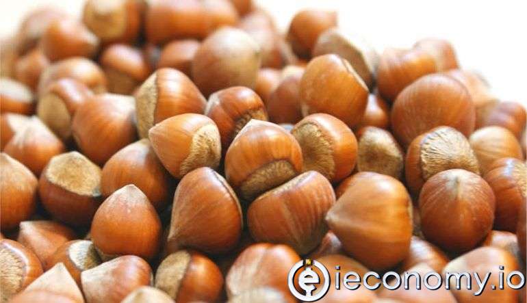 Giresun hazelnut will be protected by geographical indication registration
