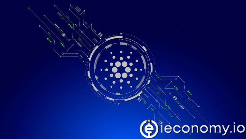 This Coin Will Be Extraordinary; Crypto Whale Speaks For The First Time!