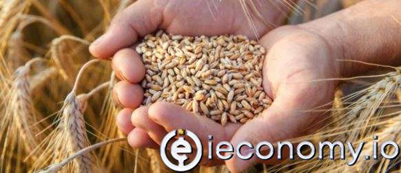 Russian Troops Seize Production on Ukrainian Farmland