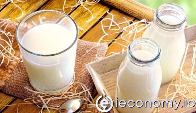 More than 450 percent increase in the export of dairy products