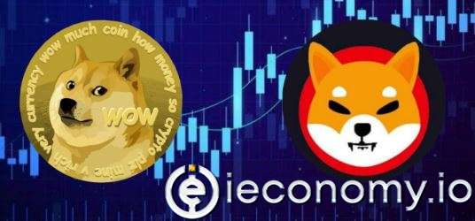 80% Drop in Dogecoin and Shiba Inu Value
