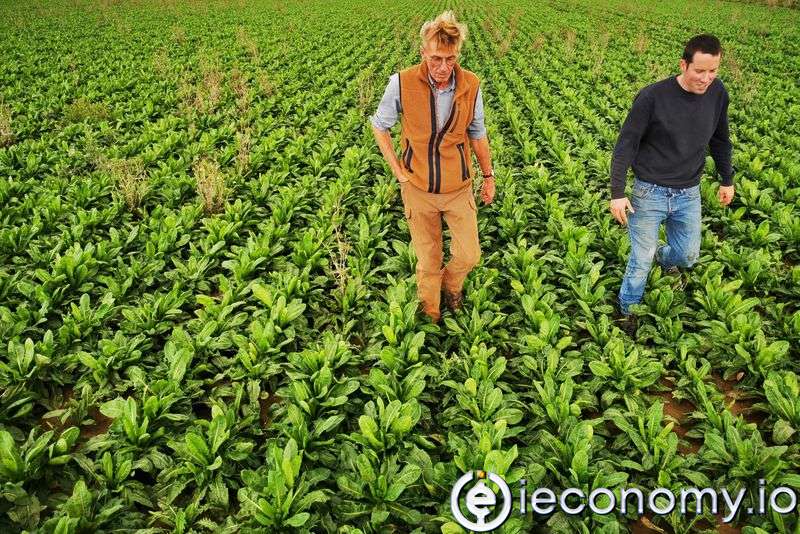 Enerji krizi nedeniyle Avrupa'daki sebze üreticileri kıtlık uyarısında bulundu
