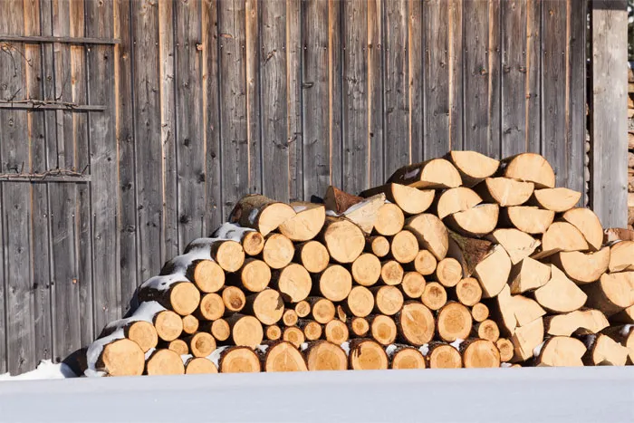 Doğal gazın düşmesiyle borsada odun hisseleri yüzde 700 arttı