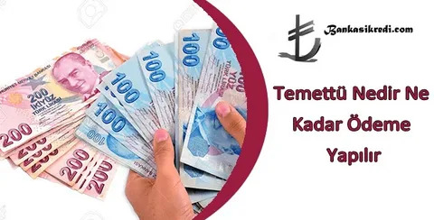 Temettü Nedir? Temettü Hisseleri Nasıl Alınır?