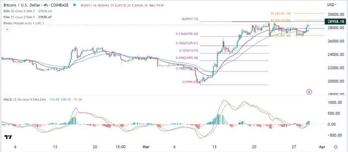 BTC/USD Forex Sinyali: Bitcoin'in 30 Bin Dolara Çıkışı Bir Engelle