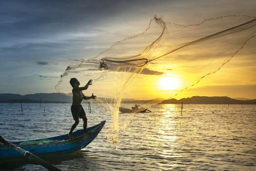 100 Milyon Yavru Balık Kaynaklara Bırakılıyor
