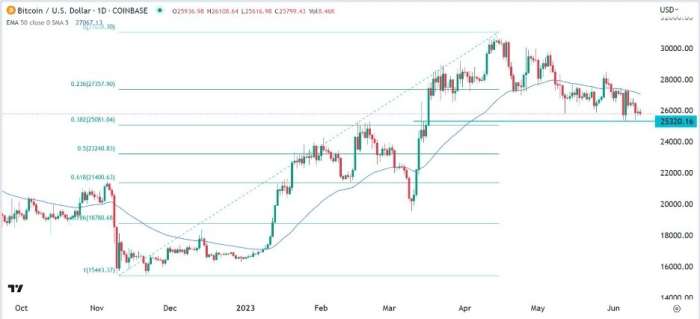 BTC/USD Forex Sinyali: Bitcoin 25.320 Doların Altına Düşerse Boğa