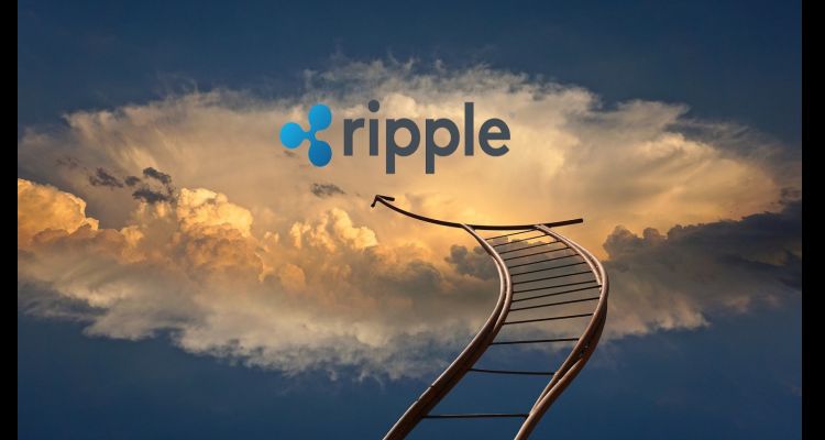 Balinalar Ripple mı Biriktiriyor? Grafiklerle XRP Analizi !