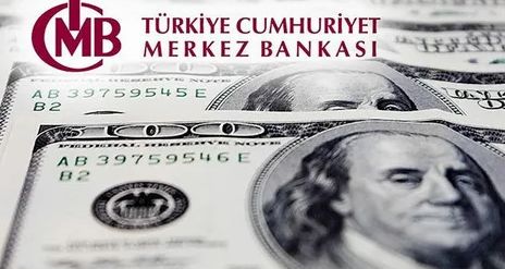 TCMB anketi: "Yıl sonunda dolar 30 TL'ye yaklaşacak, enflasyon %60'a dayanacak"