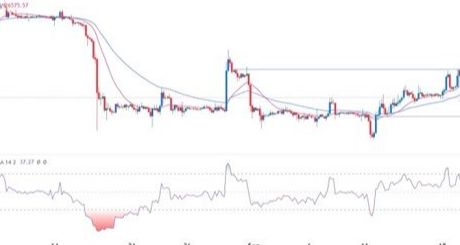BTC/USD Forex Sinyali: Kripto Korku ve Hırs Endeksi Düşüş Yaşıyor