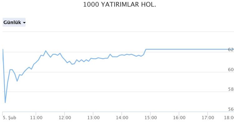 1000 Yatırımlar Holding A.Ş. (BINHO) Hisse Senedi Analizi ve Değerlendirmesi