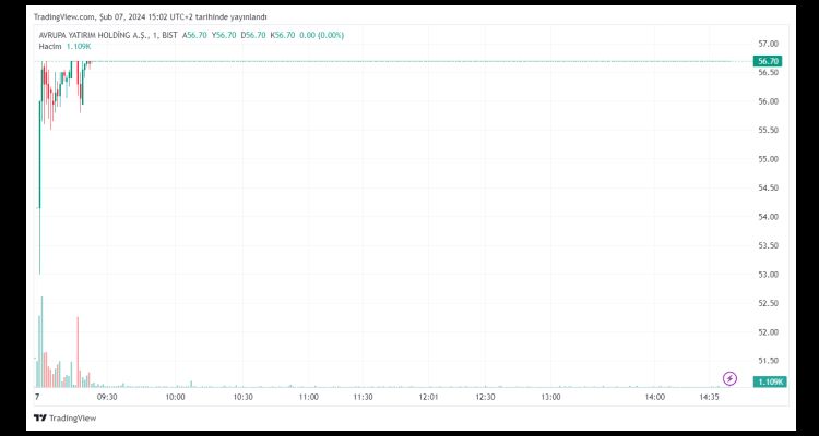 Avrupa Yatırım Holding A.Ş. (AYH) Hisse Senedi Analizi ve Değerlendirmesi