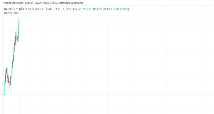 Natural Yenilenebilir Enerji Ticaret A.Ş. (NATEN) Hisse Senedi Analizi ve Değerlendirmesi