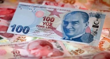 Türk Lirasının 2024 Performansı: Yabancı Para Birimleri Karşısındaki Kayıpları.