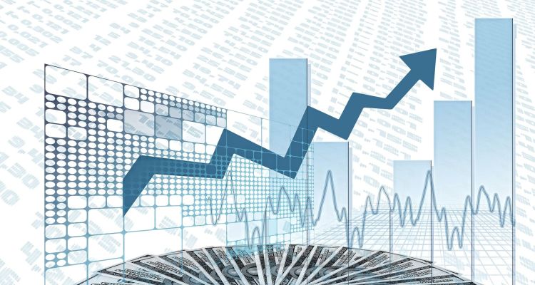 2024 Yılında Halka Arz Olan Hisseler ve Performansları