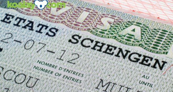 Schengen Vizesi Randevularını Bot Yazılımlarla Kapatan Şirketlere İnceleme